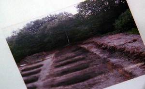 graves graves