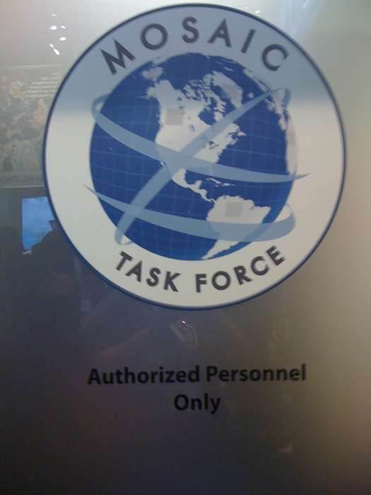 FlashForward Logo For The Mosaic Task Force