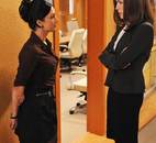THE GOOD WIFE