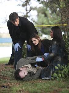 07af38f40125cbd8291ee620b64fe51b Castle 3.08 Murder Most Fowl Review