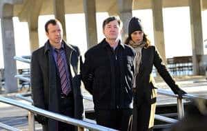 BLUE BLOODS