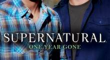 Supernatural One Year Gone Review