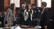THE GOOD WIFE
