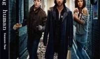BeingHuman_S2_DVD-202x300