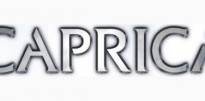 caprica_logo2-300x101