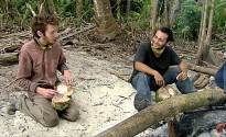 A Closer Look