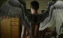 The Fades