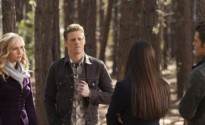 tvd