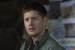 Supernatural - Survival of the Fittest