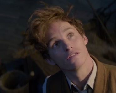 Fantastic Beasts and Where to Find Them Trailer