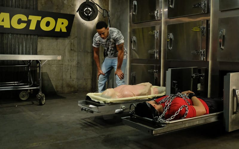 How Will Mtv S Fear Factor Be Different From The Old One