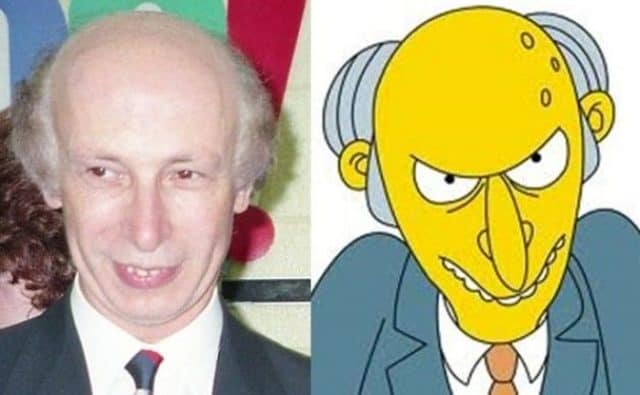 Ordinary People Who Totally Look Like Real Life Simpsons Characters