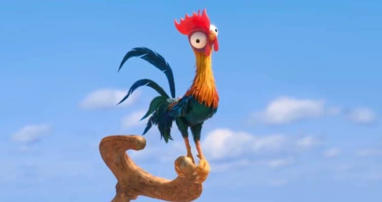 How Heihei From Moana Was Saved Just Months Before The Release How Heihei From Moana Was Saved Just Months Before The Release