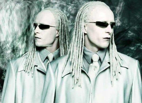 Image result for the twins matrix