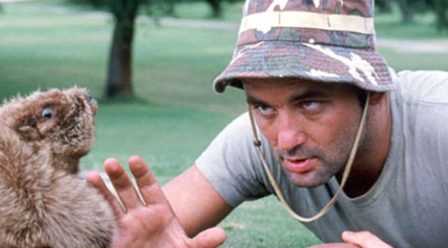 The Five Best Bill Murray Movies Of His Career