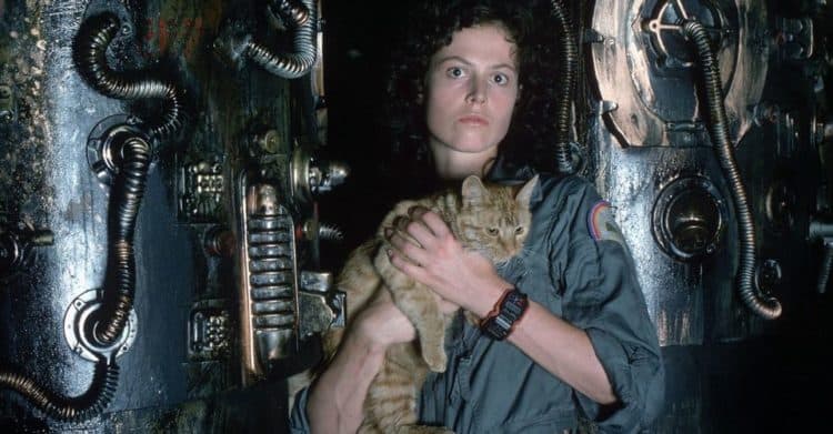 Ellen Ripley From Aliens Almost Showed Up In Shane Black S The Predator