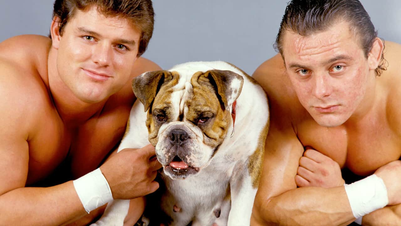 WWE The British Bulldogs